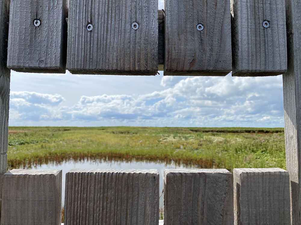 Uitzicht op een natuurgebied vanuit een uitkijkpunt